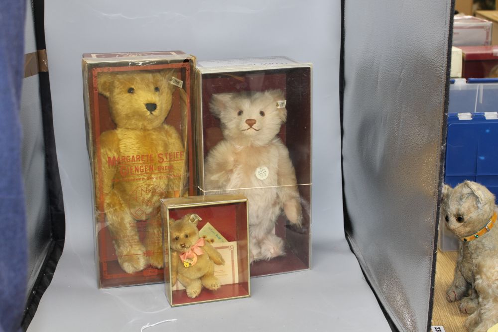 A Steiff Teddy Rose, box and certificate; a Margarette Steiff limited edition and a Jackie bear with box and certificate